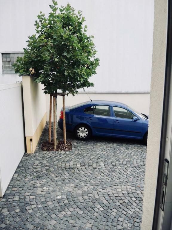 Modernes Apartment - Neustadt/Weinstrasse Stadt Neustadt an der Weinstraße Eksteriør billede